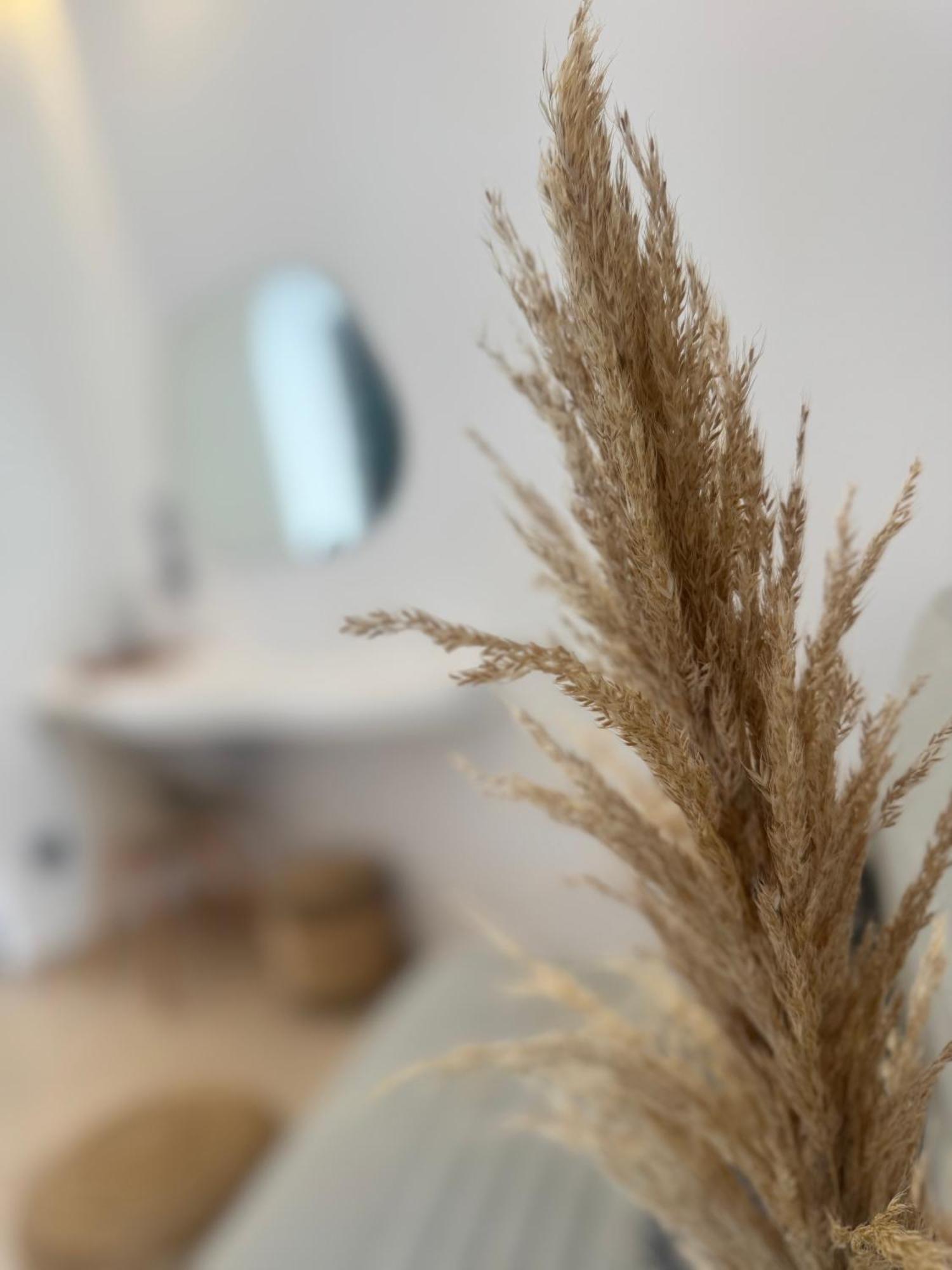 Eleni'S Rooms Antiparos Exterior photo